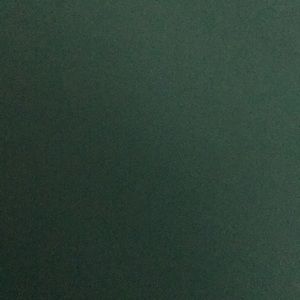 Meet your Posher, Rainee